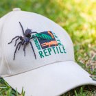 Una araña venenosa de tamaño inusualmente grande, de casi 8 centímetros, fue hallada por unos vecinos en la costa sureste de Australia y fue donada a un parque de animales donde la usarán para fabricar antídotos de veneno.