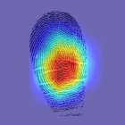 El mapa desarrollado por ingenieros estadounidenses destaca las zonas que contribuyen a la similitud entre las dos huellas dactilares de la misma persona.