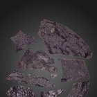 Imagen de la muestra