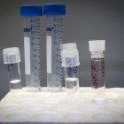 Estudio.- El bisfenol, un químico escondido con consecuencias para la salud.