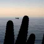 Vista de archivo de una avioneta que pasa sobre el Océano Pacífico en Pacific Palisades, California (Estados Unidos).