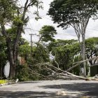 Vista general de una calle bloqueada por árboles caídos en Sao Paulo (Brasil).