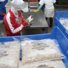 El 17 % de la oferta de camarón nacional se va al mercado estadounidense.