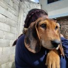 Los agresores pueden recibir una pena de 1 a 3 años de prisión