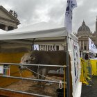 Decenas de ganaderos y ciudadanos llevan sus animales y mascotas a la plaza de San Pedro del Vaticano para su bendición por el día de San Antón.