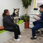 Para que la mascota se quede en el hospedaje es importante un chequeo previo.