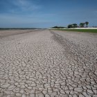 La severa sequía en el Río Negro, en el Amazonas (Brasil).