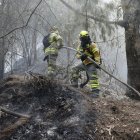 Bomberos trabajan en la extinción de un incendio este jueves 25 de enero de 2024, en el cerro El Cable, en Bogotá (Colombia).