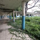 Infraestructura. La maleza ha crecido en diversas áreas del predio de Secap en Durán debido al abandono que sufre desde hace varios años.