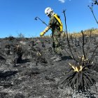 Bomberos combaten un incendio forestal este viernes 26 de enero de 2024, en Nemocón, municipio cercano a Bogotá (Colombia).