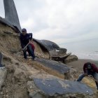 Trabajos. Todos intentan contribuir en los trabajos para levantar al Delfín.