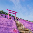 Dato. María Elizondo redacta una carta en su máquina de escribir.