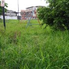 En la ciudadela Guayacanes, en el norte, es común ver parques con la maleza que supera el metro de altura.