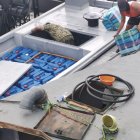 El material se encontraba escondido en una lancha