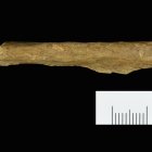 Fragmento de hueso humano procedente de las nuevas excavaciones en Ranis (Alemania).