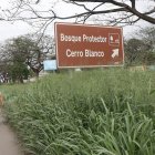 Dato. Seis mil hectáreas tiene el bosque protector Cerro Blanco, un espacio rico en flora y fauna.