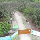 Dato. Seis mil hectáreas tiene el bosque protector Cerro Blanco, un espacio rico en flora y fauna.