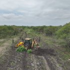 Imagen aérea de la pista, compuesta de tierra posiblemente aplanada para facilitar aterrizaje