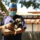 En la brigada de adopción en el parque El Calzado también habrá desparasitación gratuita para mascotas.