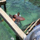 La preocupación apunta al estado en el que se encuentran las especies en cautiverio.