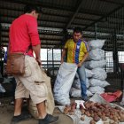 MERCADO | PERSONAS CARGANDO SACOS DE PAPA |