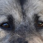 Un hecho similar se registró en diciembre de 2023 en el sur de Quito.