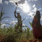 Panorama. Habitantes han visto la tierra de Somalia agrietada por la sequía y arrasada por las inundaciones