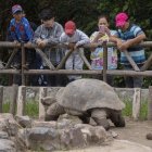 Recorridos guiados, juegos y caritas pintadas ofrece el Quito Zoo