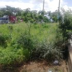 Hecho. Así permanecen algunos tramos de los parterres de vía a la costa.