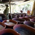 Soldados del Ejército hacen presencia en un laboratorio clandestino de droga sintética, hoy, en Quiriego Sonora (México). Autoridades mexicanas descubrieron en el estado mexicano de Sonora, cerca de la frontera con Estados Unidos, un enorme laboratorio para la producción de droga sintética donde decomisaron 80 toneladas de metanfetaminas, con un valor en el mercado superior a los 600 millones de dólares. EFE/Daniel Sánchez