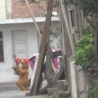 Un agente disfrazado de oso por el Día de San Valentín, durante un operativo policial este 14 de febrero, en Lima.