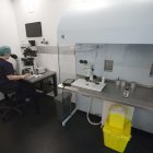 Investigadores de la Universidad Monash en Australia han desarrollado una técnica no invasiva de ultrasonidos que aumenta la movilidad de los espermatozoides humanos hasta un 266 %.