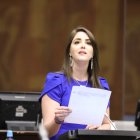 La legisladora protagonizó un incidente en la Comisión del caso Villavicencio.