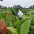 Esta actividad involucra alrededor de 400.000 personas.