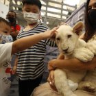 Una mujer con un cachorro de león.