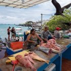 Proyecto. En la isla Santa Cruz se investigó sobre los desechos de pescado.