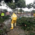 La caída de los arboles deja daños en sus alrededores, como fue el caso de la ciudadela las Orquídeas