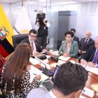 Gabriela Sommerfeld en la Comisión de Transparencia.