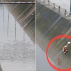 Momento exacto donde se rescató al perro en Mucho Lote 1