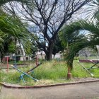 Centenario. El parque luce descuidado y con mucha maleza en los juegos.