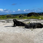 El archipiélago de Galápagos es conocido por sus especies únicas en el mundo