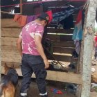 El can ‘señaló’ el punto donde estaba la menor