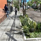En la calle Vicente Ramón Roca y 6 de Diciembre se colocaron espacios con una variedad de plantas.