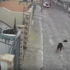Al salir de la cajuela la víctima cayó al piso. Un hombre disparó al aire.