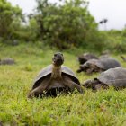 Imagen referencial para graficar este artículo.