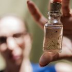 Un miembro de un equipo de vigilancia epidemiológica sostiene un frasco con larvas del mosquito del dengue Aedes aegypti, el 26 de febrero 2024, en São Paulo (Brasil). Las ciudades brasileñas están en alerta por el avance del dengue, cuyos casos en el país superaron el millón de contagios en lo que va del año. São Paulo, la mayor urbe de Suramérica, fumiga sin parar y trata de sensibilizar a los vecinos sobre el peligro, pero a menudo los consejos caen en saco roto. EFE/ Isaac Fontana