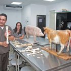 Vista. En el laboratorio de morfociencias se estudian huesos de animales, ubicación y desarrollan habilidades.