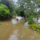 Campo. Los Ríos es la segunda provincia más golpeada por las lluvias, son 4.256 hectáreas de cultivos afectados.