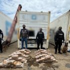 Canes antidrogas participaron del operativo que halló los paquetes de cocaína.