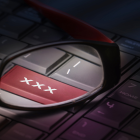 La pornografía infantil en es un delito.